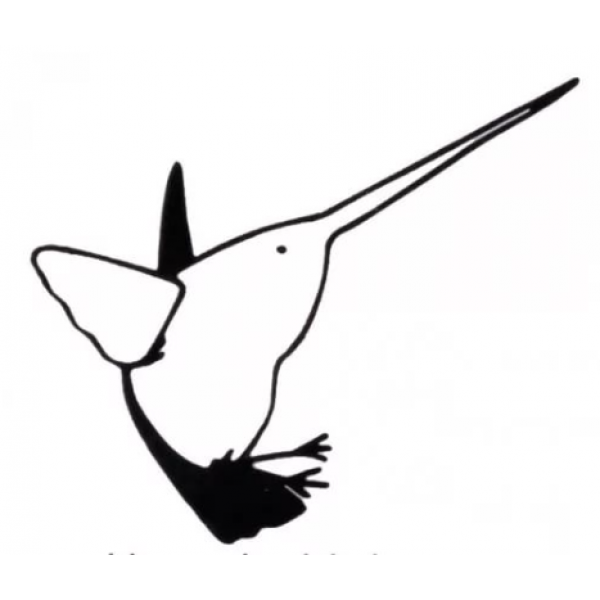 Рез. тяга - колибри